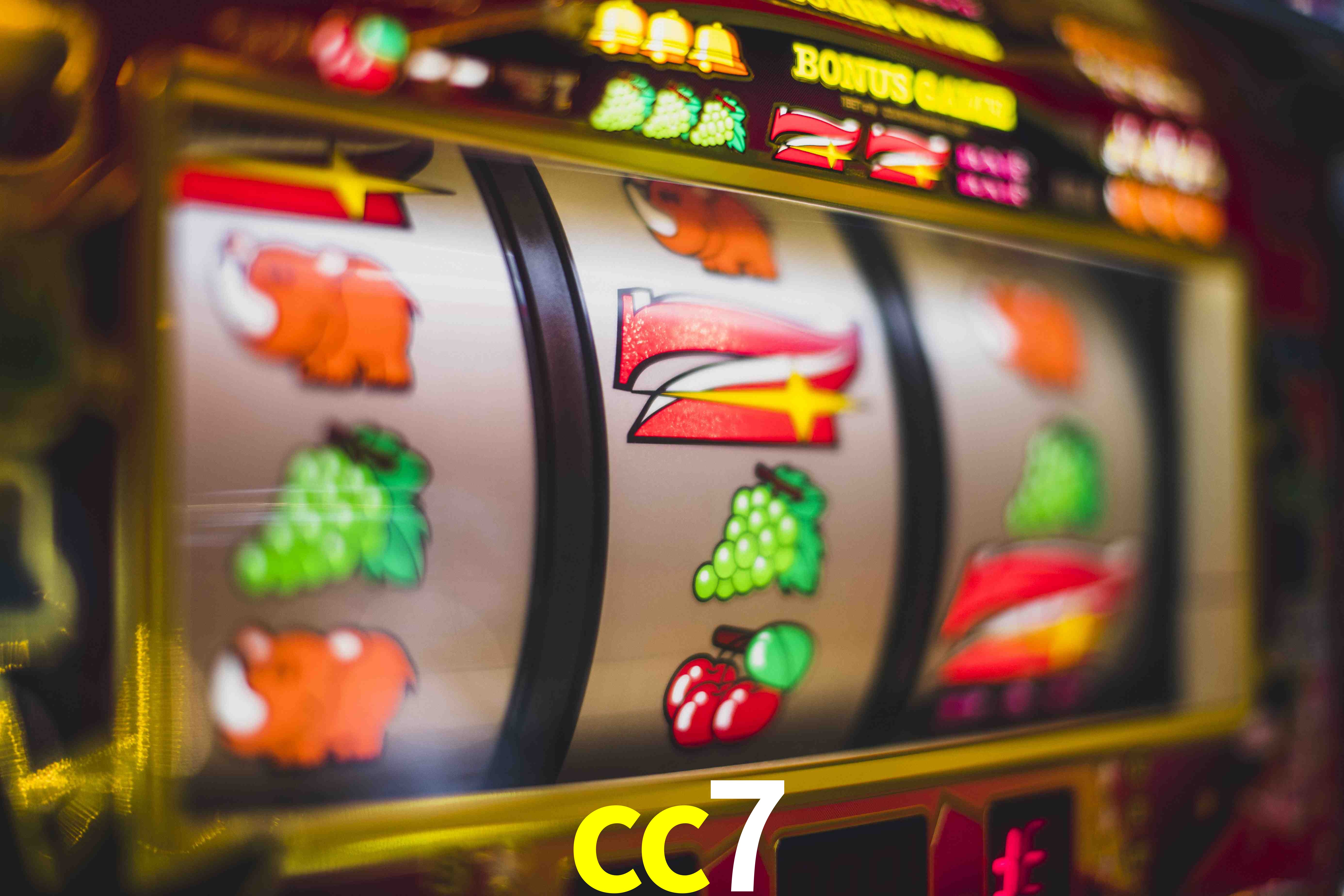 Football Betting cc7